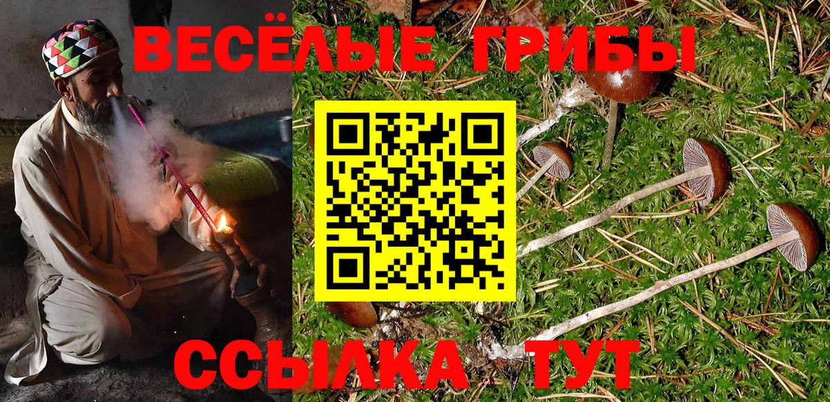 Воронеж  Галлюциногенные грибы MAGIC MUSHROOMS  Вход с VPN  Псилоцибиновые грибы Cubensis 